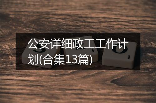 公安详细政工工作计划(合集13篇)