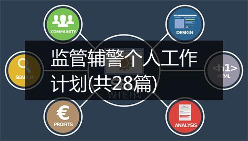 监管辅警个人工作计划(共28篇)
