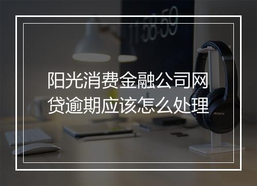 阳光消费金融公司网贷逾期应该怎么处理