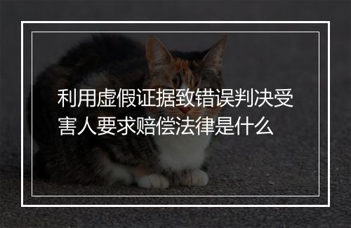 利用虚假证据致错误判决受害人要求赔偿法律是什么