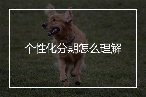个性化分期怎么理解