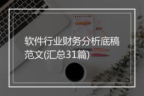 软件行业财务分析底稿范文(汇总31篇)