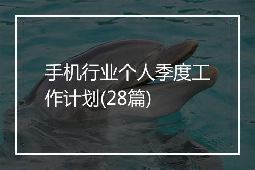 手机行业个人季度工作计划(28篇)