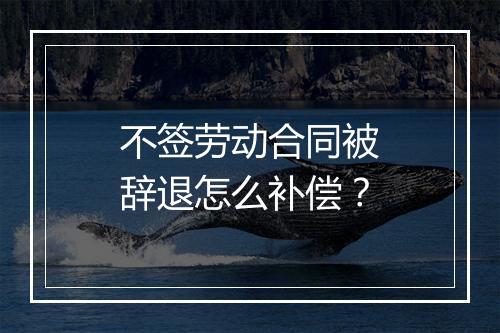 不签劳动合同被辞退怎么补偿？
