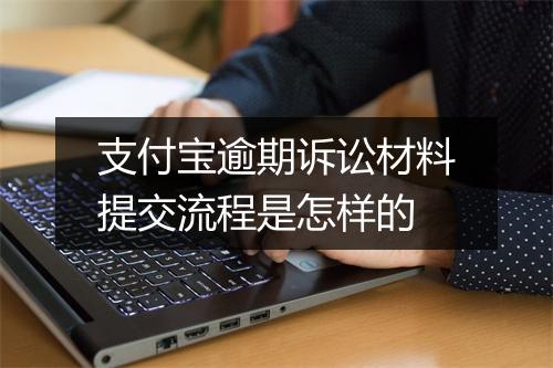 支付宝逾期诉讼材料提交流程是怎样的
