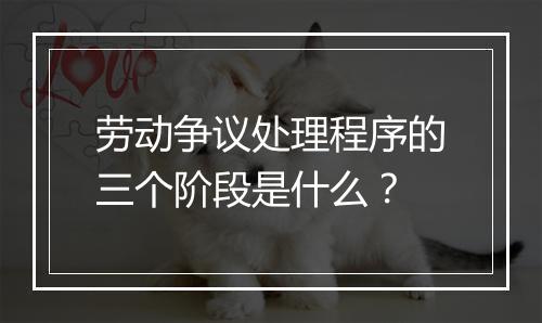 劳动争议处理程序的三个阶段是什么？
