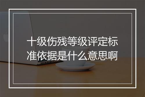 十级伤残等级评定标准依据是什么意思啊