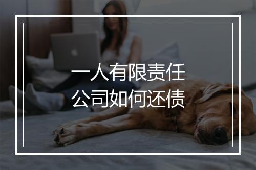 一人有限责任公司如何还债