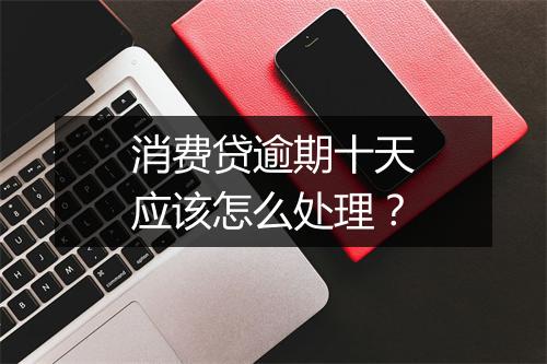消费贷逾期十天应该怎么处理？