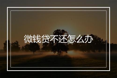 微钱贷不还怎么办