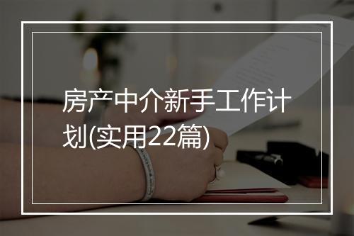 房产中介新手工作计划(实用22篇)