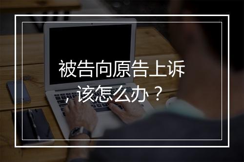 被告向原告上诉，该怎么办？