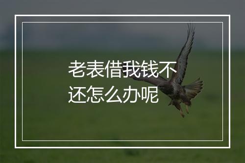 老表借我钱不还怎么办呢