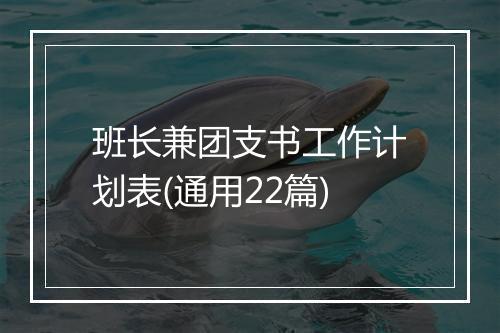 班长兼团支书工作计划表(通用22篇)
