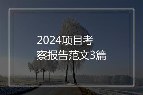 2024项目考察报告范文3篇