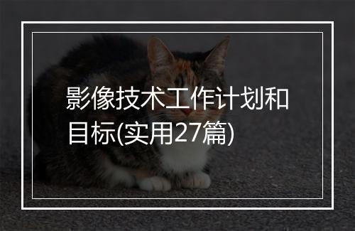 影像技术工作计划和目标(实用27篇)