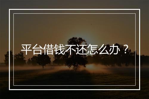 平台借钱不还怎么办？