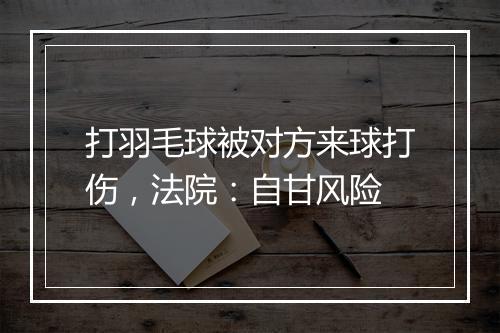 打羽毛球被对方来球打伤，法院：自甘风险
