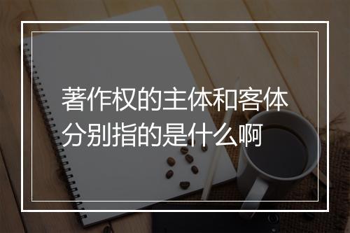 著作权的主体和客体分别指的是什么啊