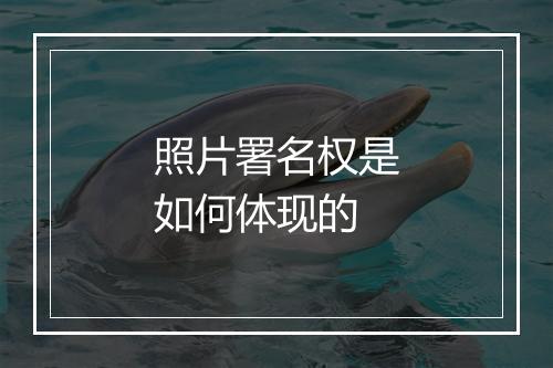 照片署名权是如何体现的