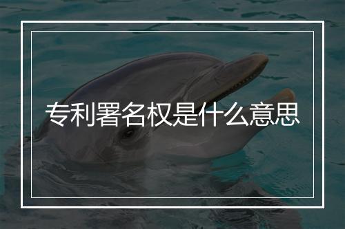 专利署名权是什么意思