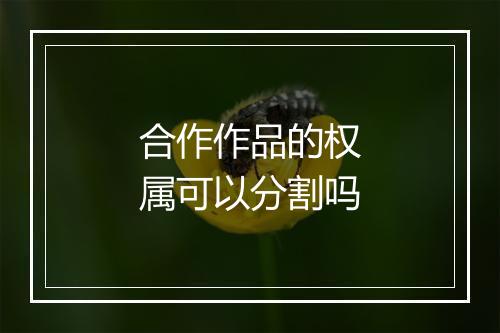 合作作品的权属可以分割吗