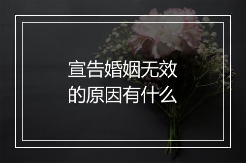 宣告婚姻无效的原因有什么