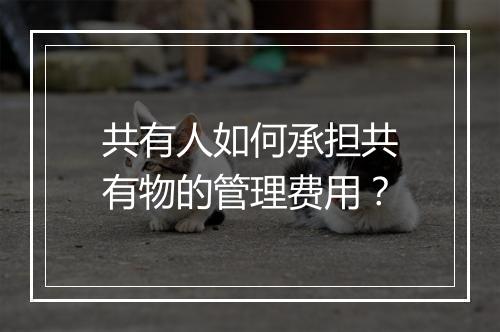共有人如何承担共有物的管理费用？