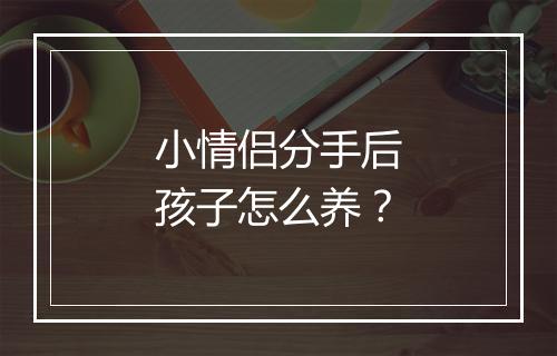 小情侣分手后孩子怎么养？