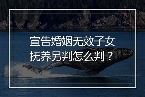 宣告婚姻无效子女抚养另判怎么判？