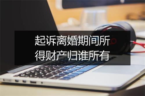 起诉离婚期间所得财产归谁所有