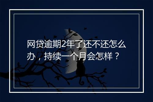 网贷逾期2年了还不还怎么办，持续一个月会怎样？