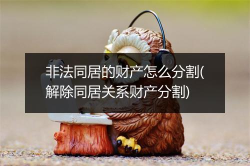 非法同居的财产怎么分割(解除同居关系财产分割)