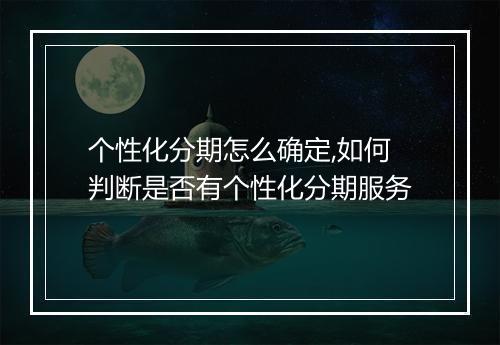 个性化分期怎么确定,如何判断是否有个性化分期服务