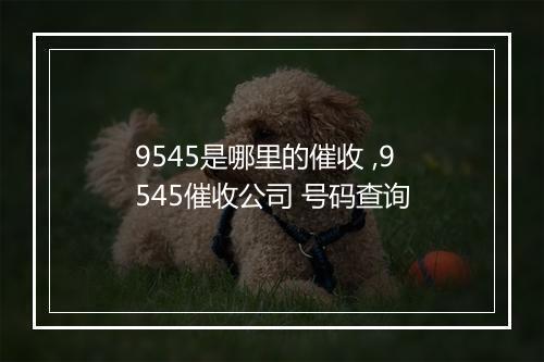 9545是哪里的催收 ,9545催收公司 号码查询