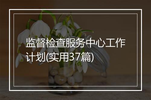 监督检查服务中心工作计划(实用37篇)