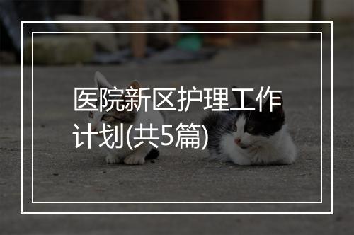 医院新区护理工作计划(共5篇)