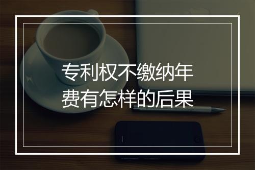 专利权不缴纳年费有怎样的后果