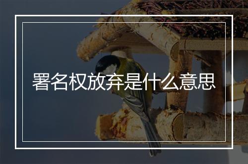 署名权放弃是什么意思