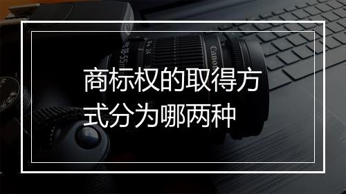 商标权的取得方式分为哪两种
