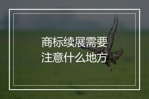 商标续展需要注意什么地方