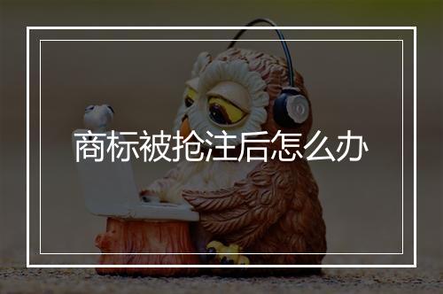 商标被抢注后怎么办