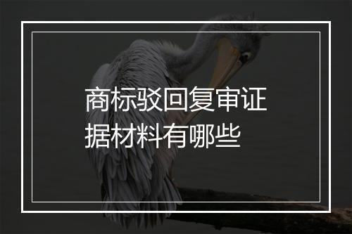 商标驳回复审证据材料有哪些