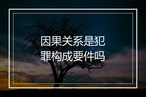 因果关系是犯罪构成要件吗