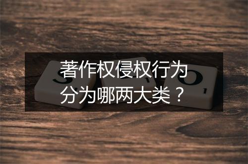 著作权侵权行为分为哪两大类？