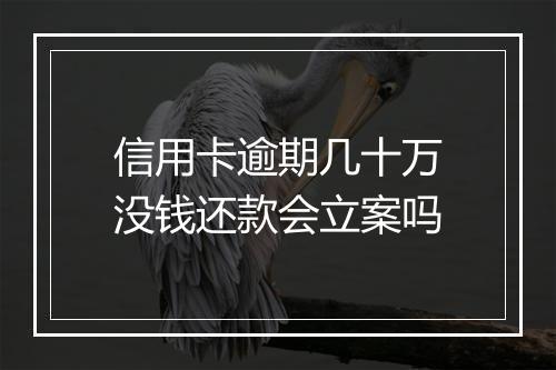 信用卡逾期几十万没钱还款会立案吗