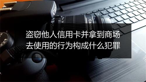 盗窃他人信用卡并拿到商场去使用的行为构成什么犯罪