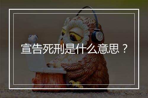 宣告死刑是什么意思？