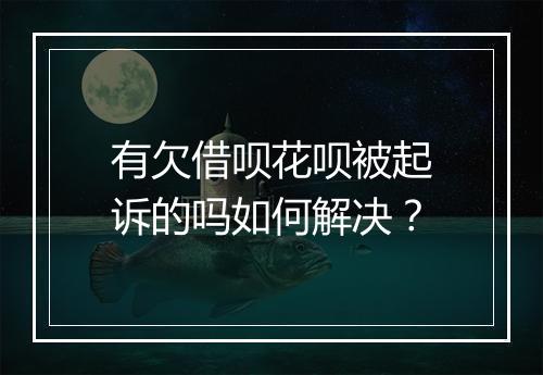 有欠借呗花呗被起诉的吗如何解决？