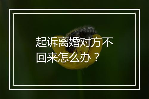 起诉离婚对方不回来怎么办？
